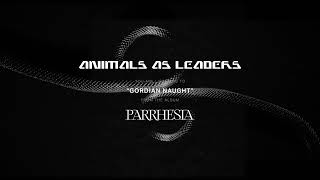 ANIMALS AS LEADERS  Gordian Naught Official Audio Stream [upl. by Comfort]