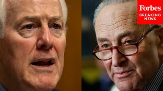 John Cornyn Accuses Chuck Schumer Of Wasting Senates Time On Show Votes As Shutdown Looms [upl. by Anitsirk11]