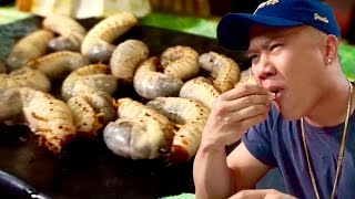 EATING THE CRAZIEST SHT IN THE PHILIPPINES Vlog 573 [upl. by Onra]