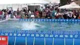 Chesapeake Bay Retriever Henry Dock Diving [upl. by Claudia827]