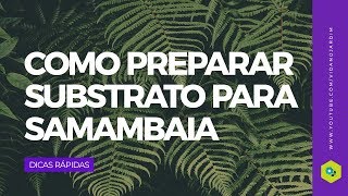 Como preparar substrato para samambaia [upl. by Reifnnej595]