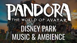 Animal Kingdom Music amp Ambience  Pandora World of Avatar  Walt Disney World [upl. by Neivad]