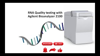 RNA quality testing with Agilent 2100 Bioanalyzer [upl. by Thedric]