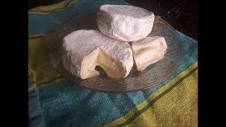 Faire son Camembert Brie  Fermette Familiale Les Biscornus [upl. by Sudnor]