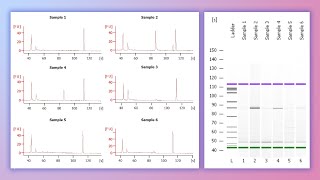 Forensic DNA Profiling Part 2 [upl. by Bouzoun]