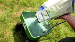 How to Overseed Your Lawn  Ace Hardware [upl. by Roye]