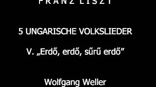 Liszt Ungarisches Volkslied Nr 5 Erdő erdő sűrű erdő Wolfgang Weller 2014 [upl. by Landrum330]