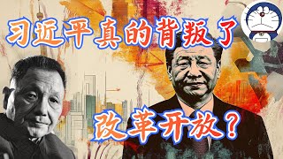 方脸说：中国经济出问题真的是因为习近平背叛了改革开放？为什么我说习近平其实是邓小平改革开放的修补匠？改革开放的本质丨邓小平120周年 [upl. by Edholm169]