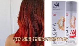 Magma red blonder Wella Red colour transformation magma colour  Wella hair colour  kalsaniyaart [upl. by Legnaros852]