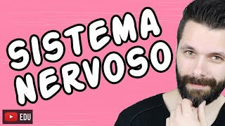 SISTEMA NERVOSO  FISIOLOGIA  Aula  Biologia com Samuel Cunha [upl. by Tybi]