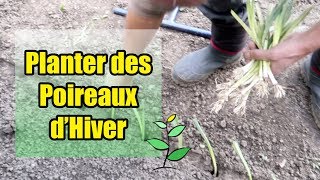 Planter des Poireaux dHiver [upl. by Higginson]