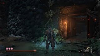 Sekiro Correct Path To Lord Kuro After Divine Dragon In Reservoir [upl. by Syck]