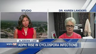 ADPH Rise in Cyclospora infections [upl. by Amhsirak]