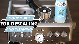 How To Clean And Descale The Breville Barista Express  Espresso Machine Full Maintenance Guide [upl. by Eustache]