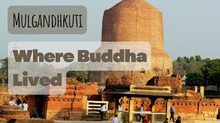 The Temple where Buddha Lived Mulgandhkuti Vihara Sarnath Varanasi [upl. by Allisan]