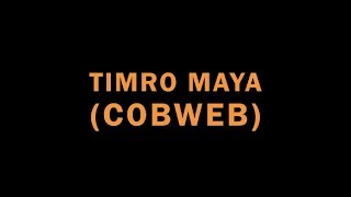 TIMRO MAYA COBWEB [upl. by Enirehtacyram52]