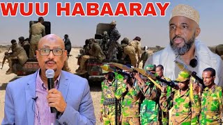 DEGDEG FAYSAL CALI WARAABE HABAARAY GARAAD JAAMAC YIRI DHULBAHANTE WAA NAGA ADKAADAYOOHIN CABAADAY [upl. by Annerol165]