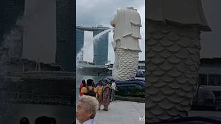 Merlion statue 😍🤩  Singapore Diaries 2 shorts travel merlionsingapore marinabaysingapore [upl. by Araic929]