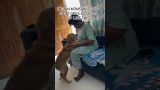 🥹doglover puppy puppies youtubeshorts ytshorts doglife dogsofinstagram [upl. by Aciretal847]