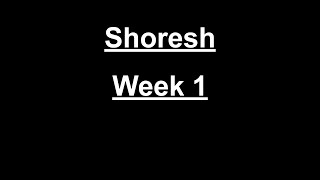 camp shoresh week 1 video [upl. by Lomaj]