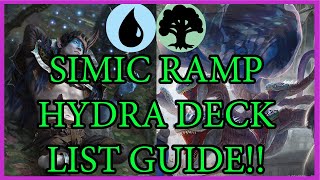 Simic Hydra Ramp Ranked Deck Guide Throne of Eldraine Standard Deck Guide MTG ARENA [upl. by Aihsele]