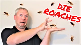 The ONLY Way to Get Rid of ROACHES  Tenant Left Cockroaches Landlords Dont Make These Mistakes [upl. by Alroi]