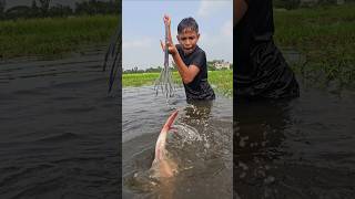 Village fishing video  part16 bigcatfish fish fishing amazingfish bigfish shorts ytshorts [upl. by Ainelec765]