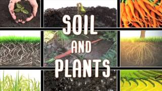 All About soil [upl. by Mari]