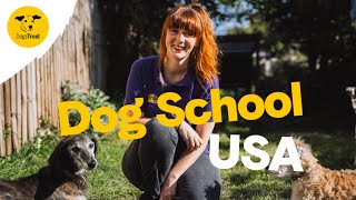 Dog School USA  Dogs Trust [upl. by Drake]