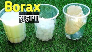 How to use Borax for plants and Benefits बोरेक्स  सुहागा को पौधो में कैसे उपयोग करे [upl. by Libbie]