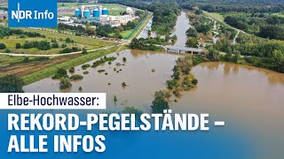 ElbeHochwasser RekordPegelstände in Tschechien amp Norddeutschland – Was ihr wissen müsst INDR Info [upl. by Aissat]