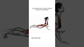 4 Exercises to Fix Your Spine for Good [upl. by Rollins]