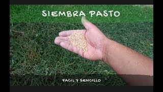 COMO SEMBRAR PASTO SEMILLA PARA JARDÍN [upl. by Otreblasiul]