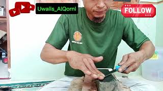 tutorial mengasah pisau bagi pemula [upl. by Woodhouse]