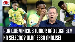 quotO Vinicius Júnior na Seleção PARECE OUTRO JOGADOR SABE qual é o GRANDE PROBLEMA do Brasilquot [upl. by Ilrahs]