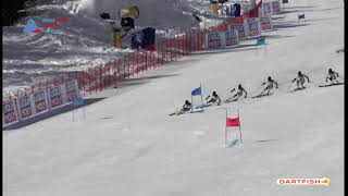 Mathieu Faivre GS Ski Championship Cortina 2021 [upl. by Ahseket]