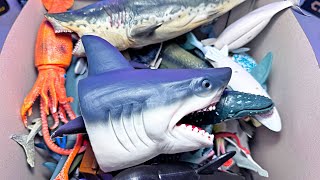 Fun Shark Toys Great White Shark Hammerhead Zebra Shark Mako Shark Basking Shark Whaleshark [upl. by Syla]