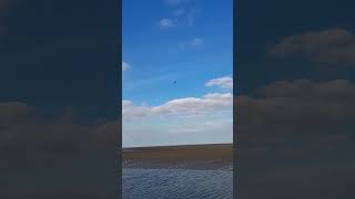 Fly past from Cleethorpes beach this afternoonx [upl. by Jelsma]