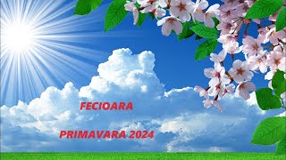 FECIOARĂ ♍Primăvara 2024  SCHIMBĂRI NECESARE  🌷 [upl. by Eizeerb]