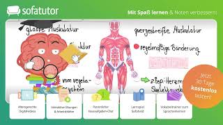 Bau der Muskeln Muskeltypen einfach erklärt – Biologie [upl. by Iffar241]