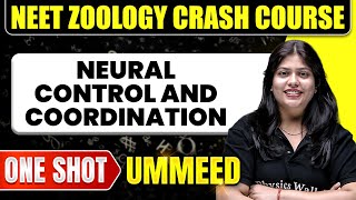 NEURAL CONTROL AND COORDINATION in 1 Shot All Concepts Tricks amp PYQs  NEET Crash Course  Ummeed [upl. by Tuneberg]