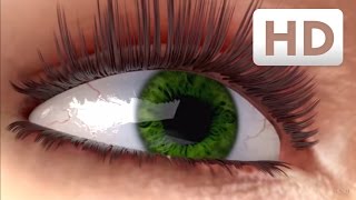 How eyelashes grow  Nanolash® eyelash serum Explainer Video [upl. by Jepson854]