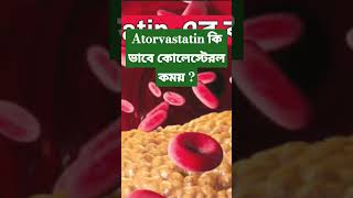 Cholesterol lowering medicine atrovastatin medinfobengali lipidlowaringdrug [upl. by Maddox683]