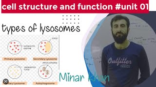 lysosomes along with mcqs in Urduhindi [upl. by Tadd]