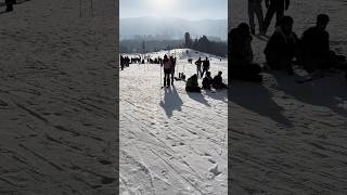 Skiing in gulmarg kashmir 🏂 shorts viral [upl. by Ludovick779]