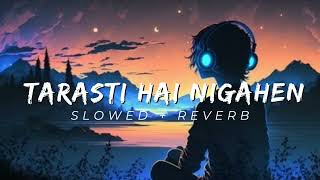 Tarasti hai nigahen lofi remix lofi slowed reverb aesthetic remix new version [upl. by Yraccaz]