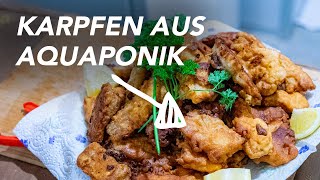 Karpfen im Bierteig – Simples Rezept Karpfen aus der Aquaponik [upl. by Miett320]