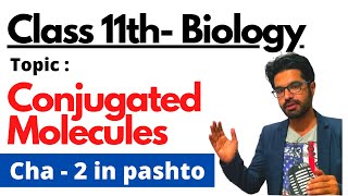 Conjugated Molecules  11th class biology in pashto  Home of biology [upl. by Widera249]