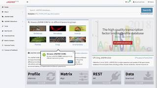 JASPAR 2018 new web interface demo [upl. by Lletnahc]