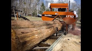 Biggest log EVER on the Wood Mizer LT10 [upl. by Ellinad]